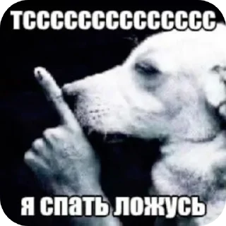 Video sticker 🖼 ебнутый @stickrubot