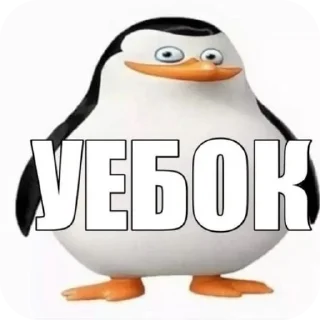 Telegram sticker 🌞 ебнутый @stickrubot