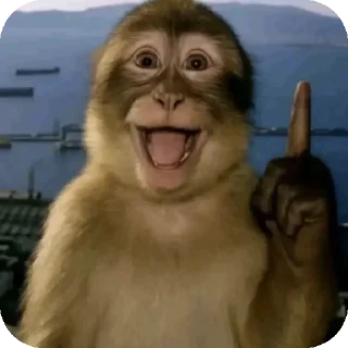 Sticker 🐒 Aight Fam
