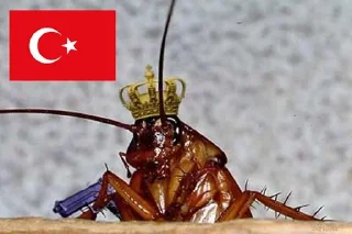 Video sticker 🤷‍♀️ cancel turkey