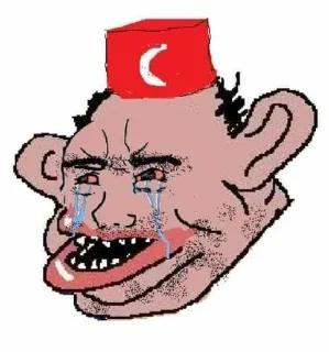 Telegram sticker 😭 cancel turkey