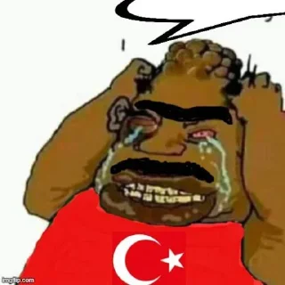 Sticker 😭 cancel turkey