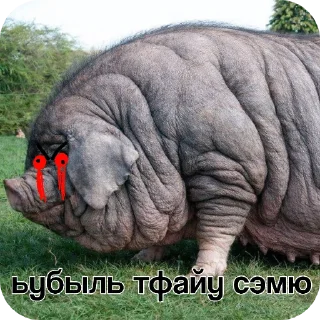 Video sticker 🔥 Я очин ту.гоє @f1zips_gayclub_2