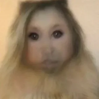 Telegram stiker 🐭 tchola