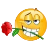 Sticker 🌹 kolobki ➜ @emoji1