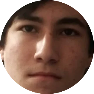 Telegram sticker 😳 Lizardi and frens