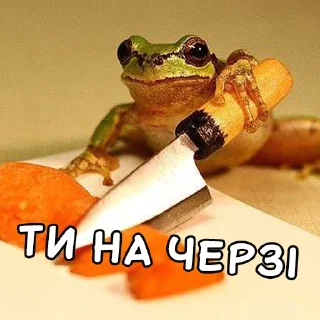 Telegram sticker 🔪 Жабки Гендальфа (by @gendalfs_titties)