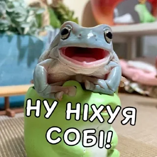 Telegram sticker 😦 Жабки Гендальфа (by @gendalfs_titties)