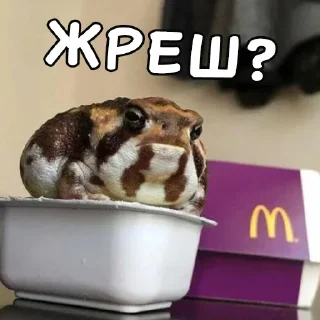 Telegram sticker 🤪 Жабки Гендальфа (by @gendalfs_titties)