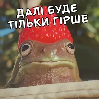 Video sticker 🫥 Жабки Гендальфа (by @gendalfs_titties)
