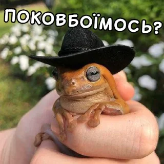 Telegram sticker 😏 Жабки Гендальфа (by @gendalfs_titties)