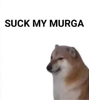 Telegram sticker 😂 ீ͜ৡৢ͜͡ 🔥⛦⃕͜𝑪𝑨𝑳𝑳𝑰𝑺𝑻𝑶𓆪🥀 #PᴏɪsᴏɴFɪɢʜᴛᴇʀss kang pack