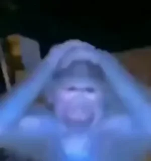 Video sticker 😨 дрістня :: @fStikBot