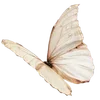 Sticker 🦋 @perehodnik_sestram
