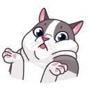 Video sticker 🤷‍♂️ Memes With Cats
