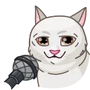 Video sticker 👌 Memes With Cats