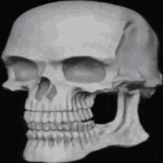 Telegram sticker 💀 Cum @Otakuzdream