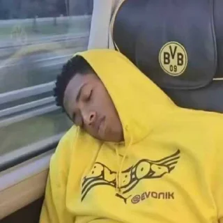 Telegram sticker 😴 белли ➡️ @EmojiRuBot