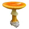 Sticker 🍄 грибное царство @stikershrimp