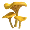 Sticker 🍄 грибное царство @stikershrimp