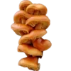 Sticker 🍄 грибное царство @stikershrimp
