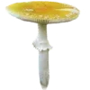 Sticker 🍄 грибное царство @stikershrimp