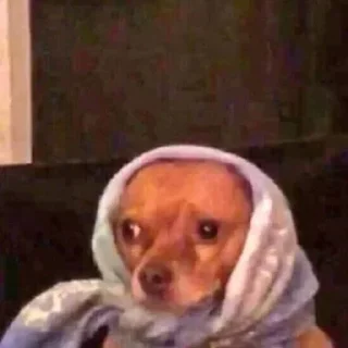 Telegram stiker 🫵 BKSM @irobah