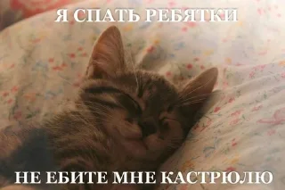 Telegram sticker 💤 это че
