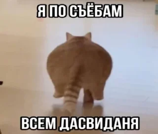 Video sticker 👋 это че