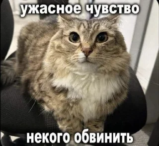Video sticker 😠 это че