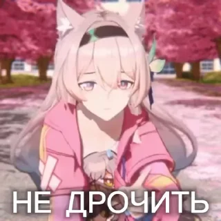 Video sticker 🤫 @stiki_tg_nah_canal