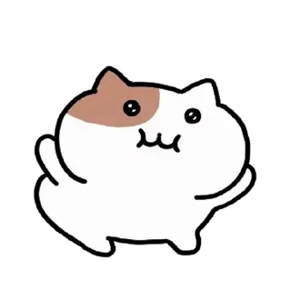 Video sticker 🧡 디티커 @dd_dgn