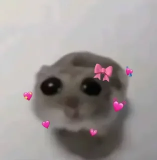 Video sticker 💕 From me