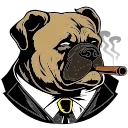 Video sticker 🐶 BULICK