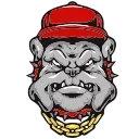 Video sticker 🐶 BULICK