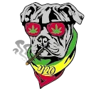 Video sticker 🐶 BULICK
