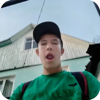 Telegram stiker 👍 Владя прайм1337