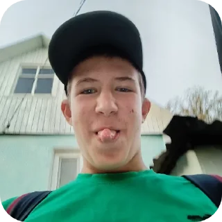 Telegram stiker 👍 Владя прайм1337