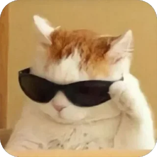 Telegram stiker 😎 🐾 котячьи пикчи 2 🐾 @byalenkeii | @aesthetifypins