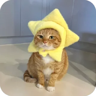 Telegram stiker 🐱 🐾 котячьи пикчи 2 🐾 @byalenkeii | @aesthetifypins