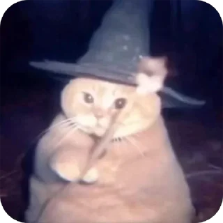 Telegram stiker 🎉 🐾 котячьи пикчи 2 🐾 @byalenkeii | @aesthetifypins