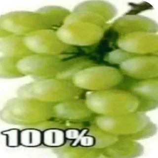 Телеграм стикер 🍲 Больше стиков тут: @stikery4