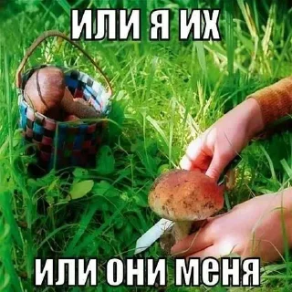 Video sticker 😵 Больше стиков тут: @stikery4