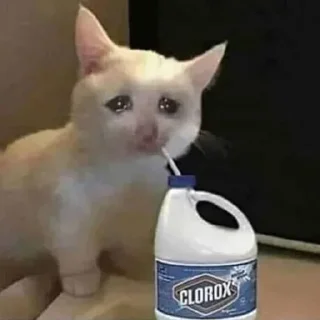 Telegram sticker 😭 دادي @qxiii