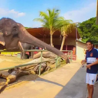 Telegram sticker 😄 دادي @qxiii