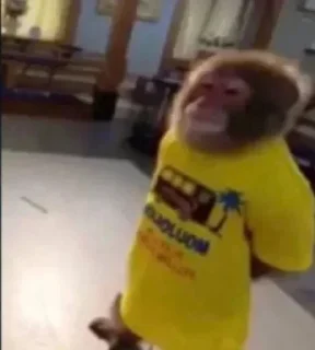 Video sticker 🙂 دادي @qxiii