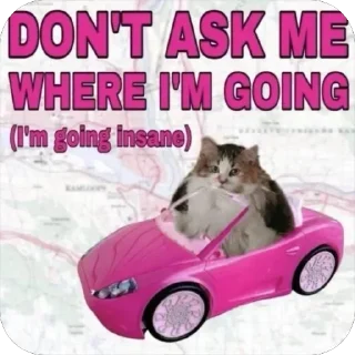 Telegram sticker 😔 who&#039;s rae anyway? @ThyRaee