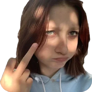 Telegram sticker 🖕 Похуїстка😝