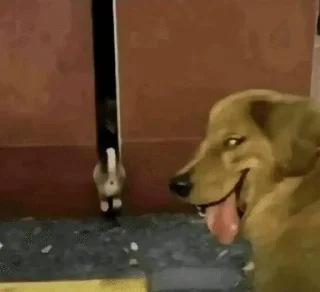 Sticker 😍 richbitch @mojameji