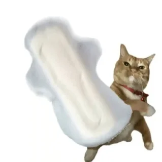 Telegram sticker 😃 richbitch @mojameji